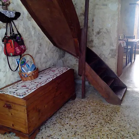 Sofia's House